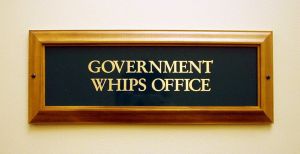 Image result for government whip